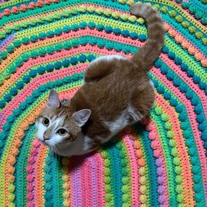 Meet your Posher, Imogene